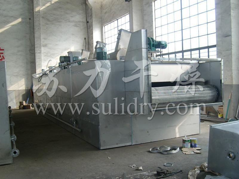 DWC系列脱水蔬菜带式干燥机