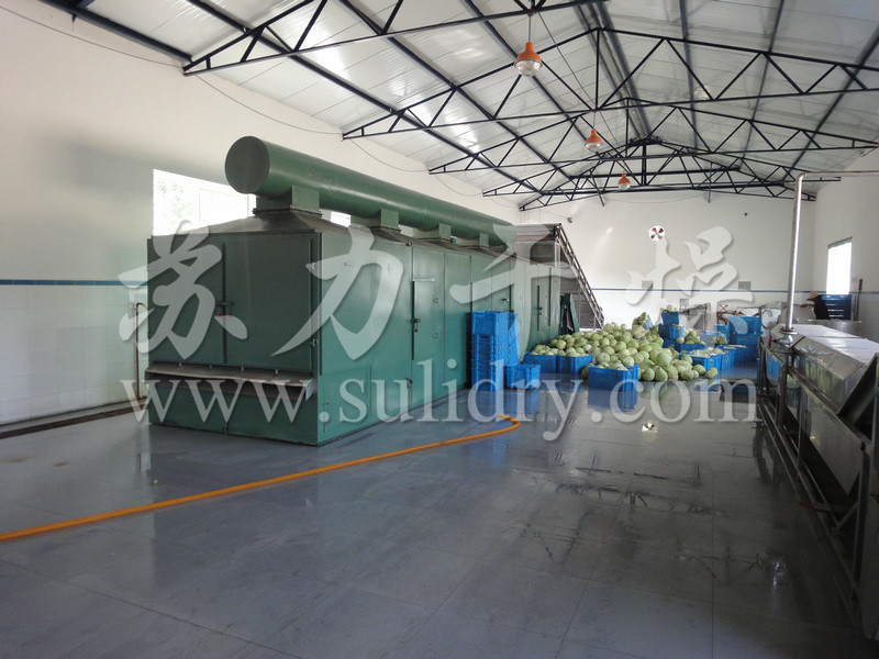 DWC系列脱水蔬菜带式干燥机