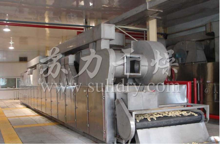 DWC系列脱水蔬菜带式干燥机